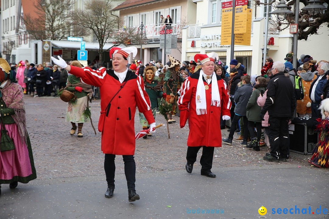 Grosser Narrensprung: Langenargen am Bodensee, 19.01.2020