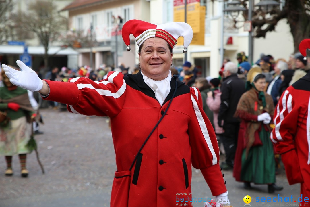 Grosser Narrensprung: Langenargen am Bodensee, 19.01.2020