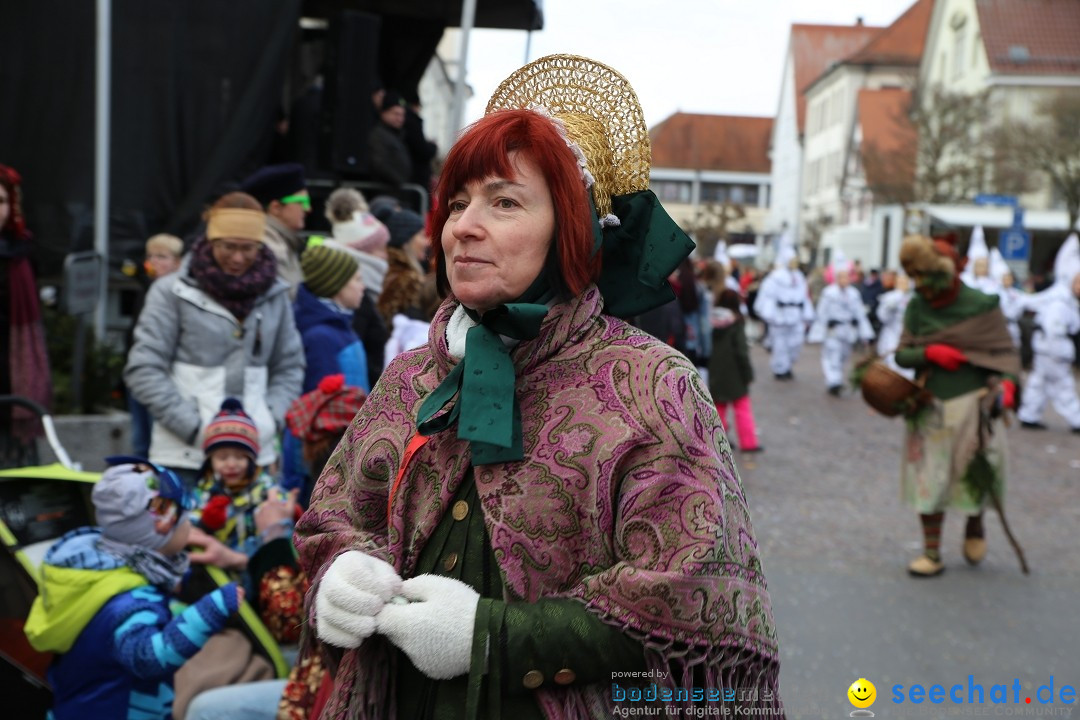 Grosser Narrensprung: Langenargen am Bodensee, 19.01.2020