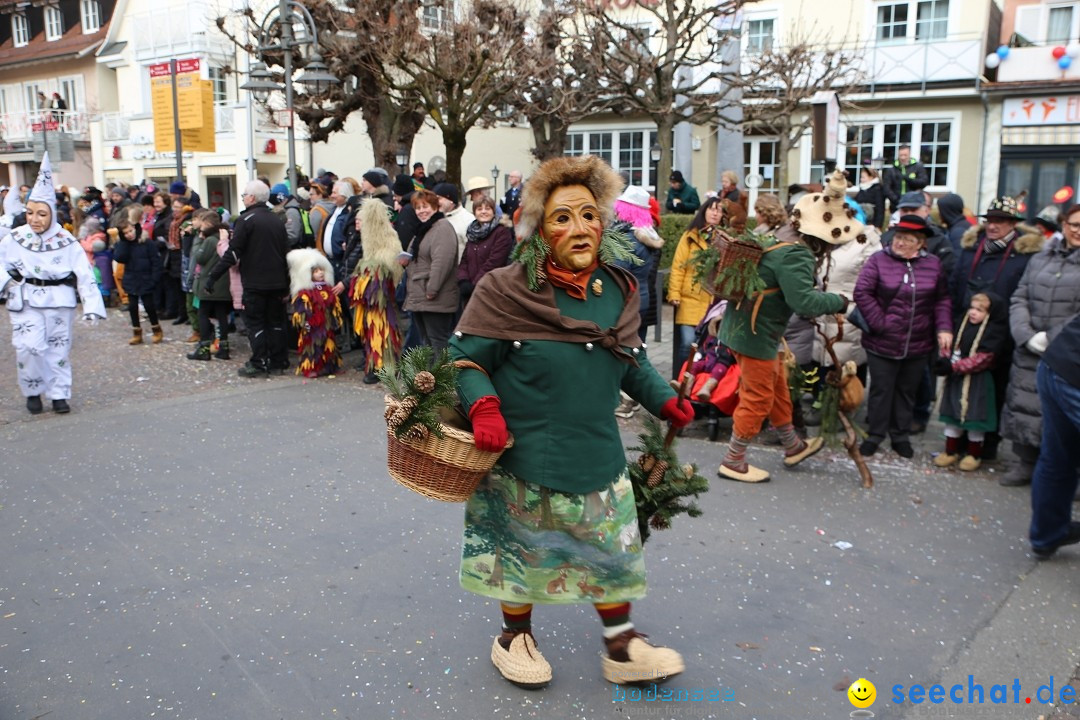 Grosser Narrensprung: Langenargen am Bodensee, 19.01.2020