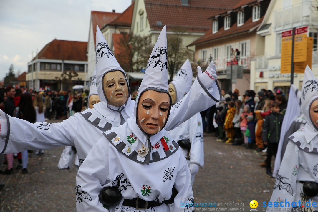 Grosser Narrensprung: Langenargen am Bodensee, 19.01.2020