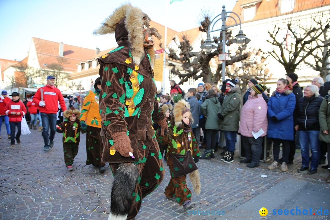 Grosser Narrensprung: Langenargen am Bodensee, 19.01.2020