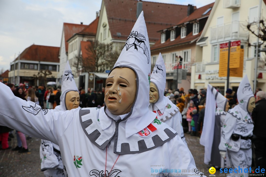 Grosser Narrensprung: Langenargen am Bodensee, 19.01.2020