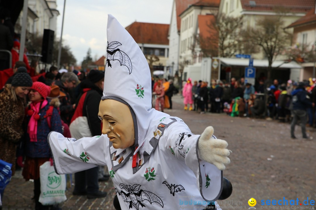 Grosser Narrensprung: Langenargen am Bodensee, 19.01.2020