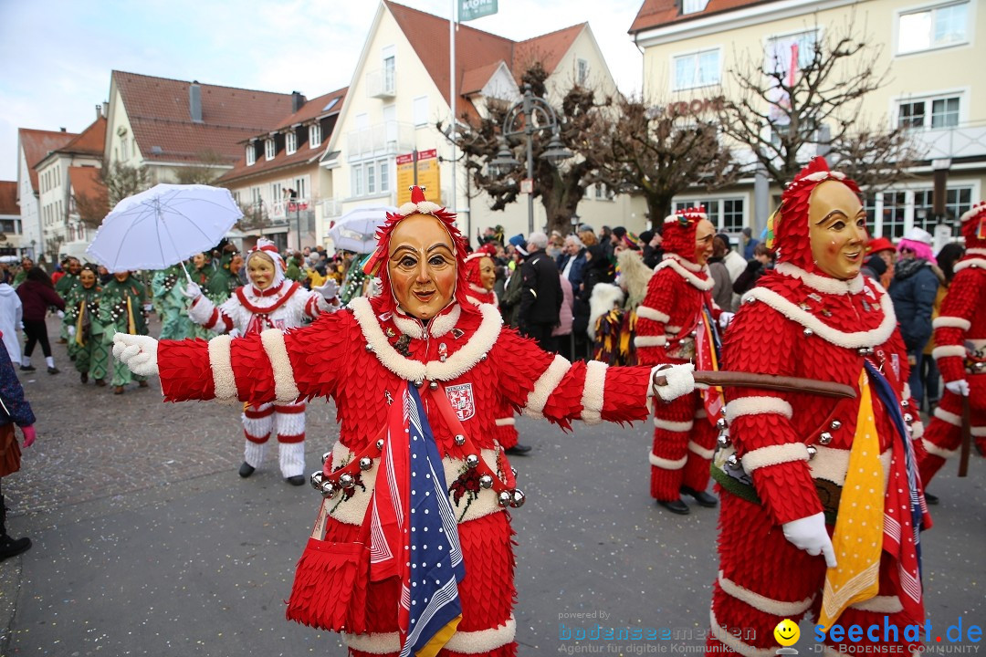 Grosser Narrensprung: Langenargen am Bodensee, 19.01.2020