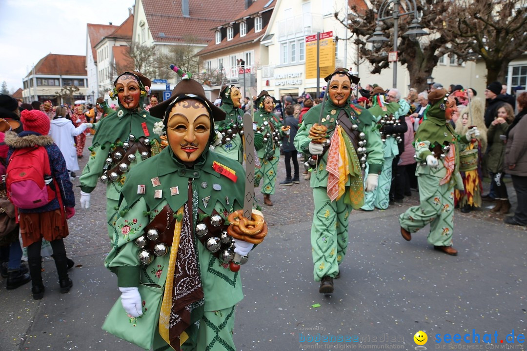 Grosser Narrensprung: Langenargen am Bodensee, 19.01.2020