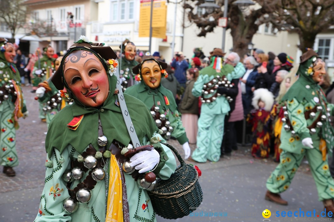 Grosser Narrensprung: Langenargen am Bodensee, 19.01.2020