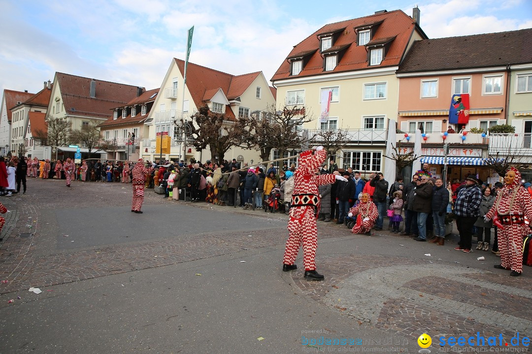 Grosser Narrensprung: Langenargen am Bodensee, 19.01.2020