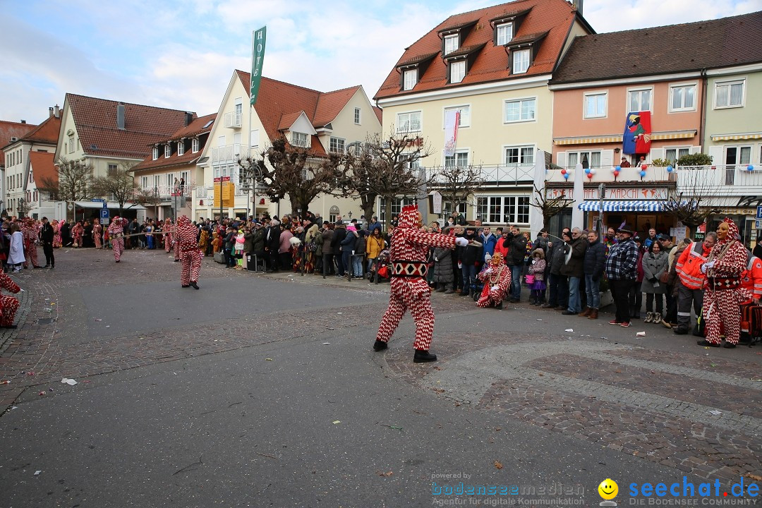 Grosser Narrensprung: Langenargen am Bodensee, 19.01.2020