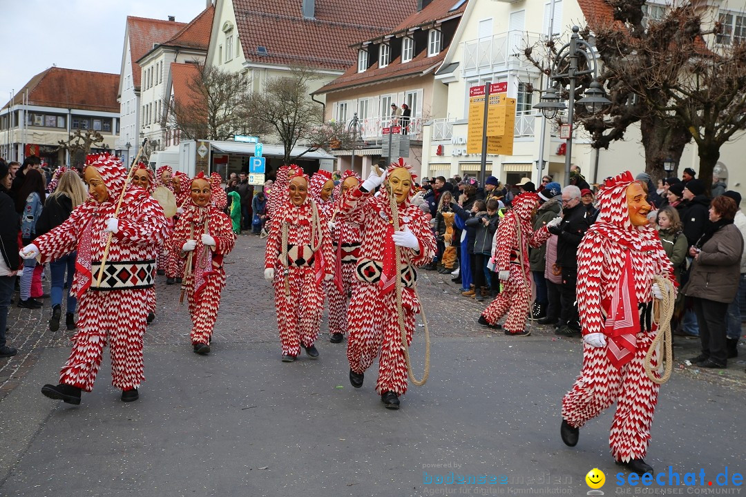 Grosser Narrensprung: Langenargen am Bodensee, 19.01.2020