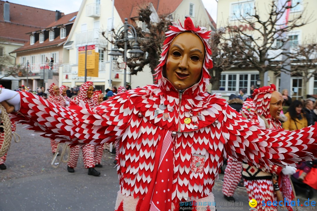 Grosser Narrensprung: Langenargen am Bodensee, 19.01.2020