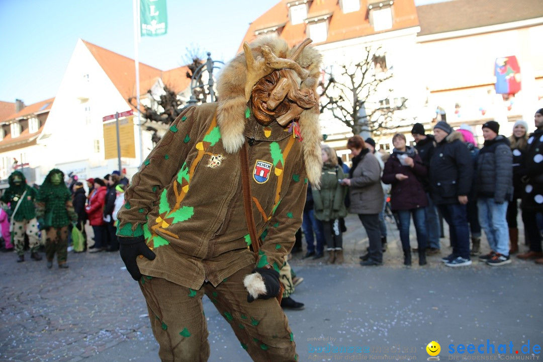 Grosser Narrensprung: Langenargen am Bodensee, 19.01.2020