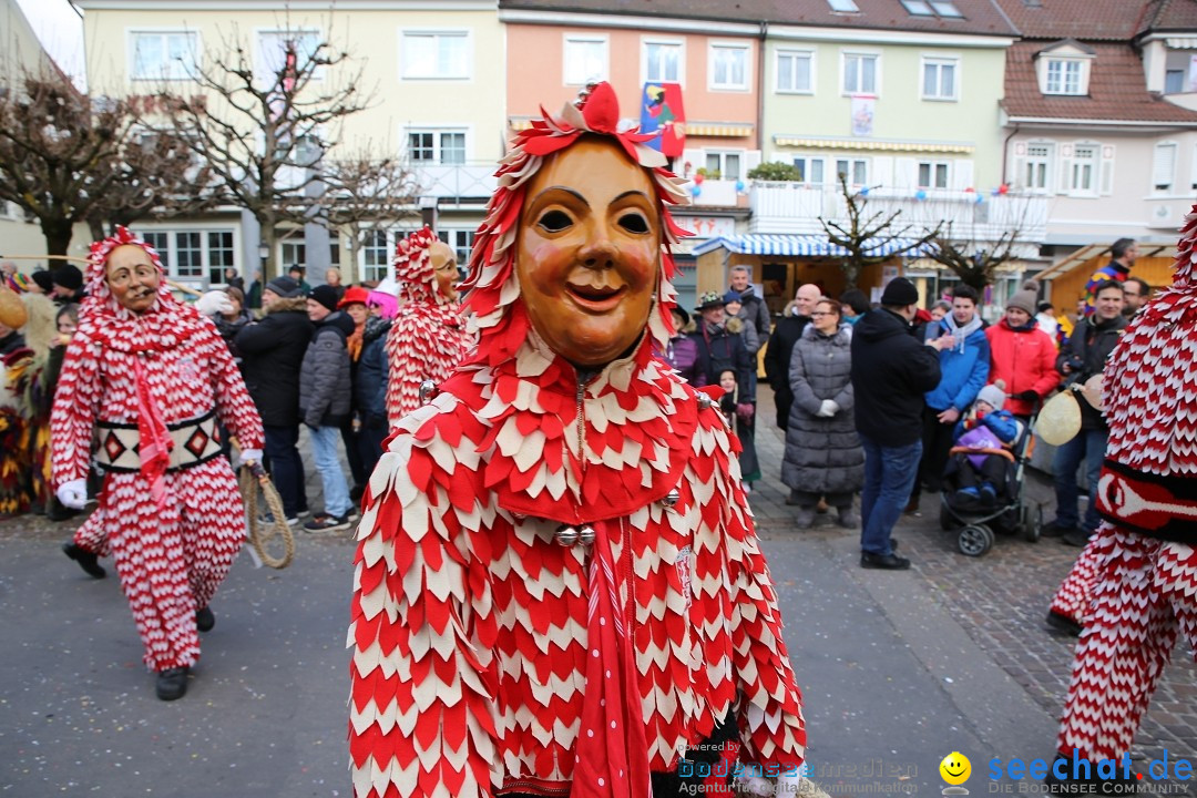 Grosser Narrensprung: Langenargen am Bodensee, 19.01.2020