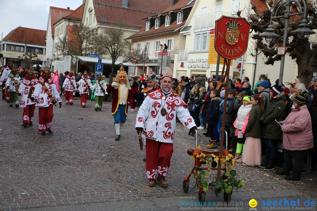 Grosser Narrensprung: Langenargen am Bodensee, 19.01.2020