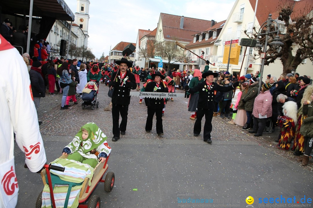 Grosser Narrensprung: Langenargen am Bodensee, 19.01.2020