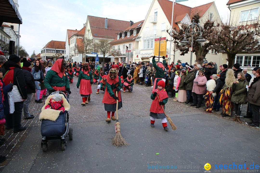 Grosser Narrensprung: Langenargen am Bodensee, 19.01.2020