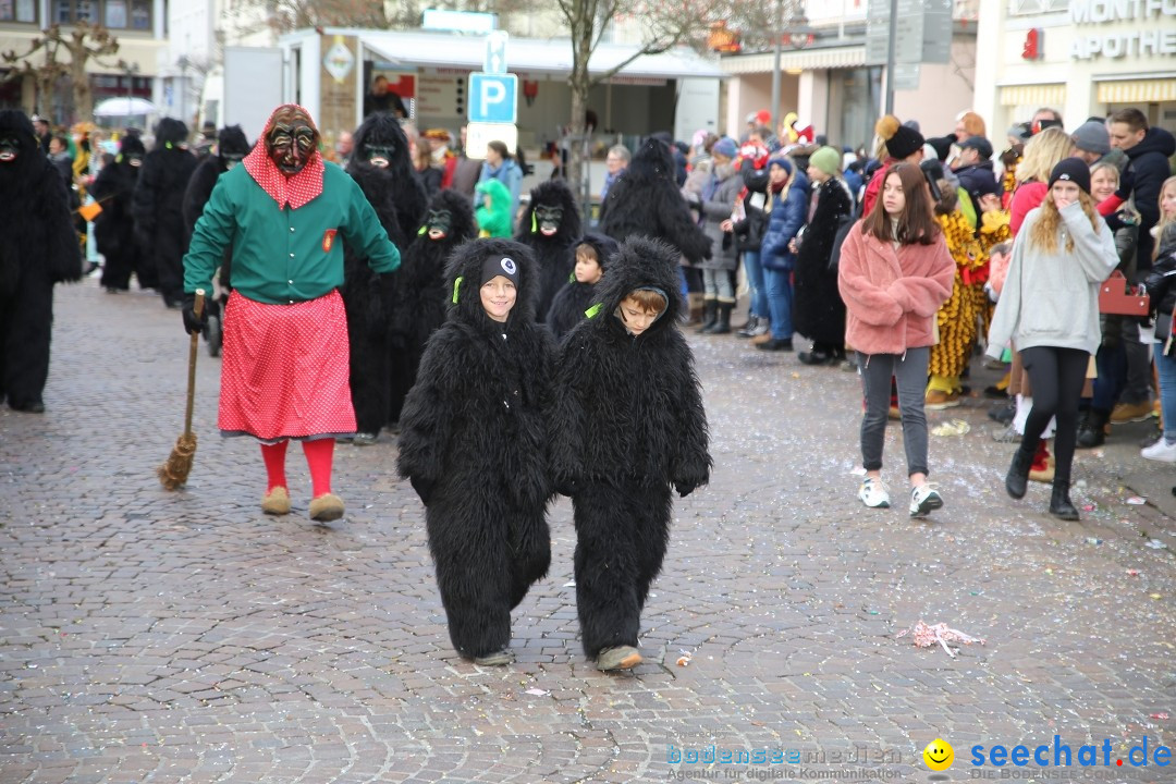 Grosser Narrensprung: Langenargen am Bodensee, 19.01.2020