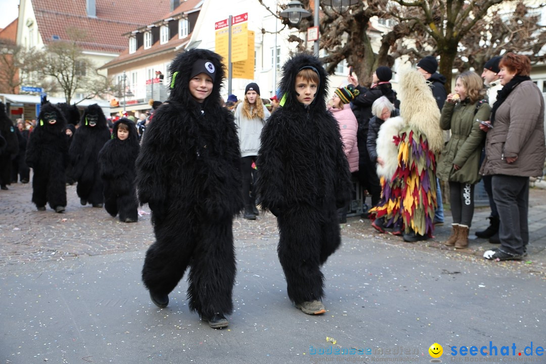 Grosser Narrensprung: Langenargen am Bodensee, 19.01.2020