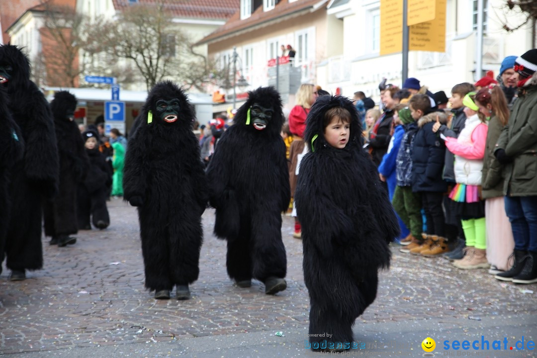 Grosser Narrensprung: Langenargen am Bodensee, 19.01.2020