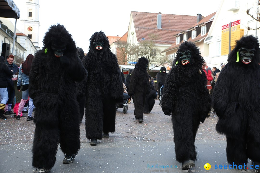 Grosser Narrensprung: Langenargen am Bodensee, 19.01.2020