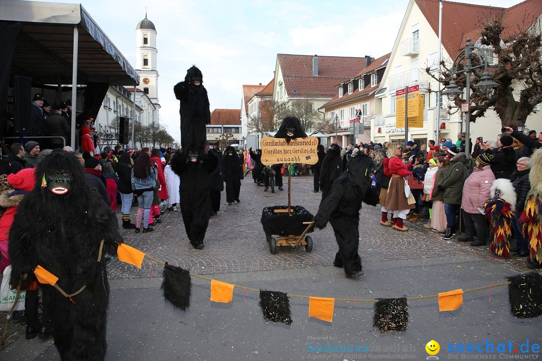 Grosser Narrensprung: Langenargen am Bodensee, 19.01.2020