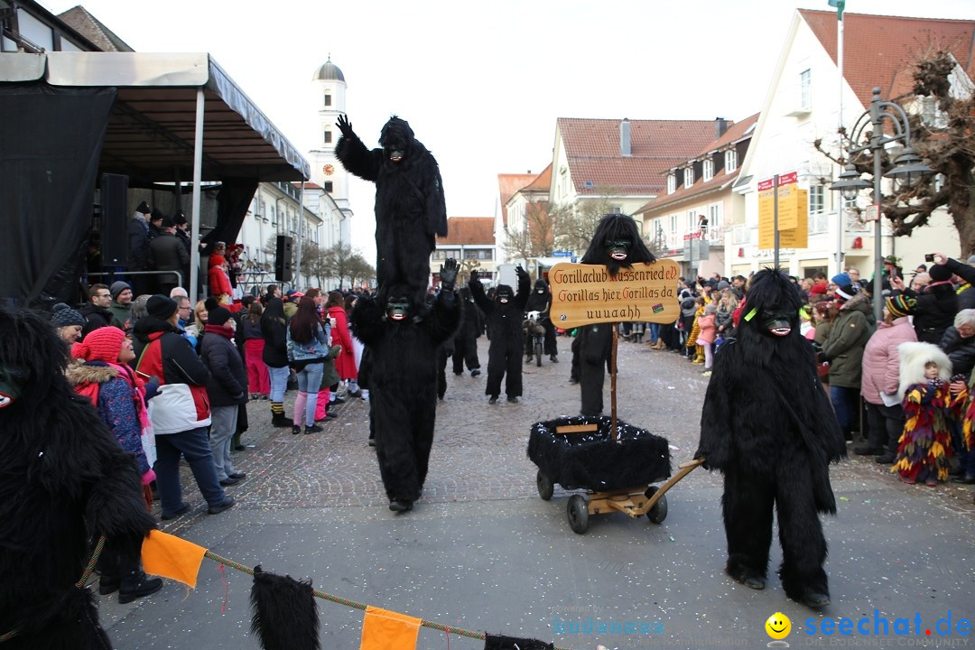 Grosser Narrensprung: Langenargen am Bodensee, 19.01.2020