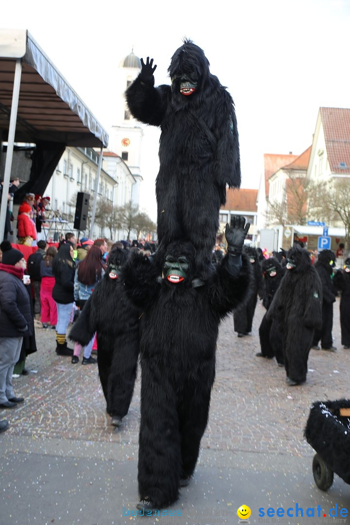 Grosser Narrensprung: Langenargen am Bodensee, 19.01.2020