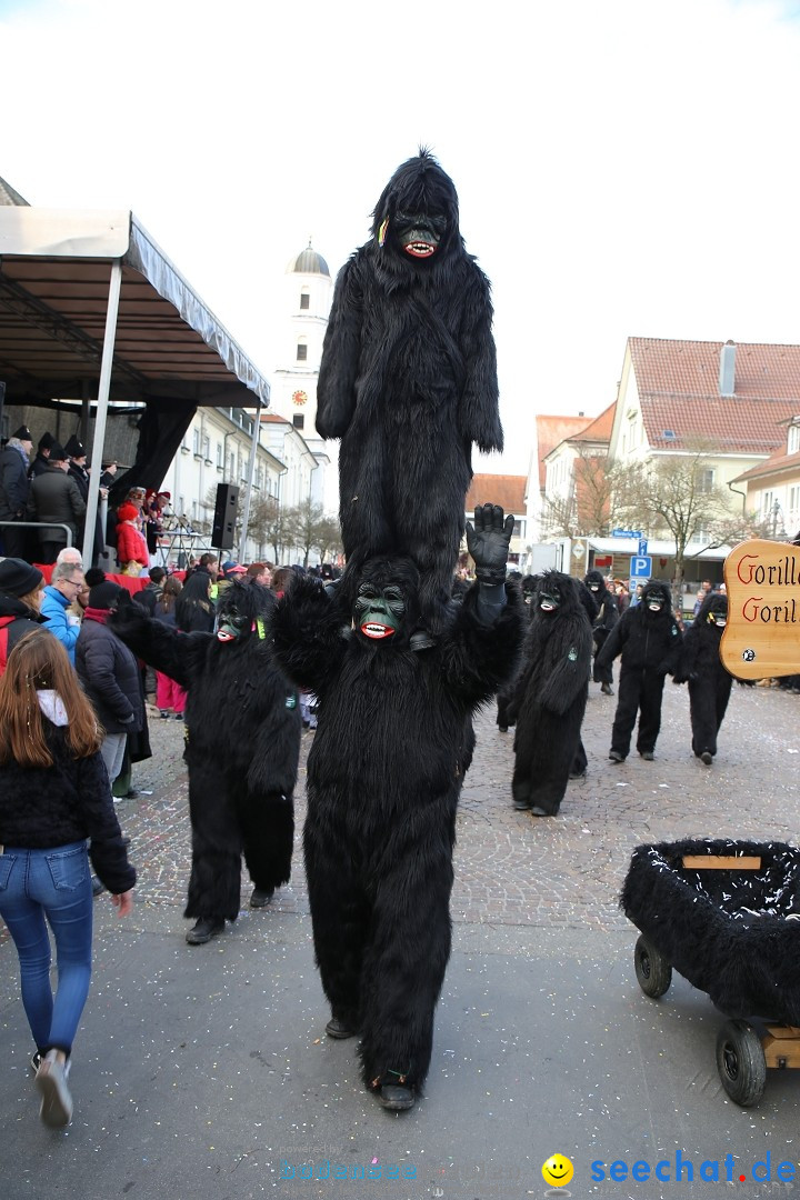 Grosser Narrensprung: Langenargen am Bodensee, 19.01.2020