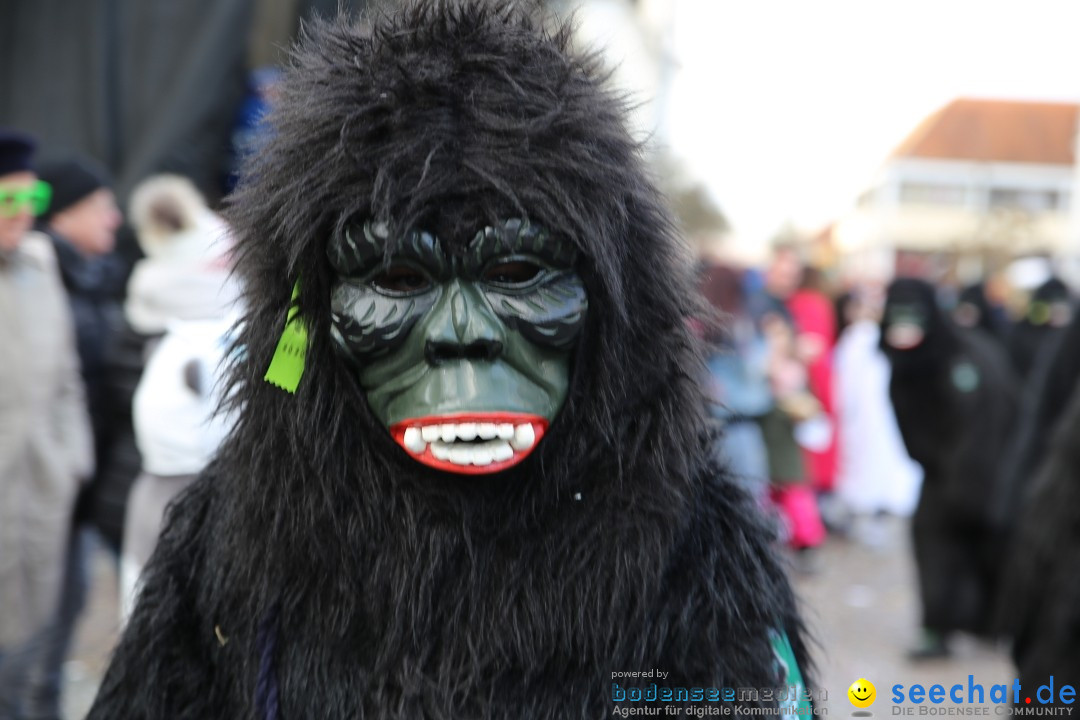 Grosser Narrensprung: Langenargen am Bodensee, 19.01.2020