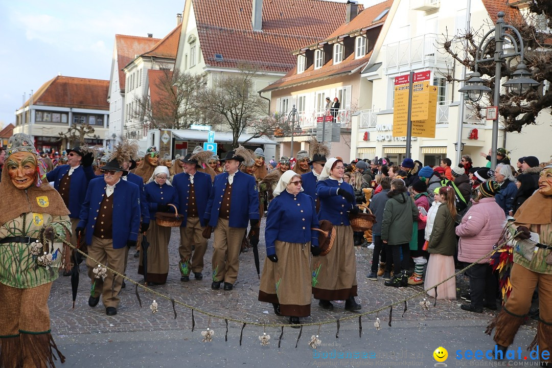 Grosser Narrensprung: Langenargen am Bodensee, 19.01.2020