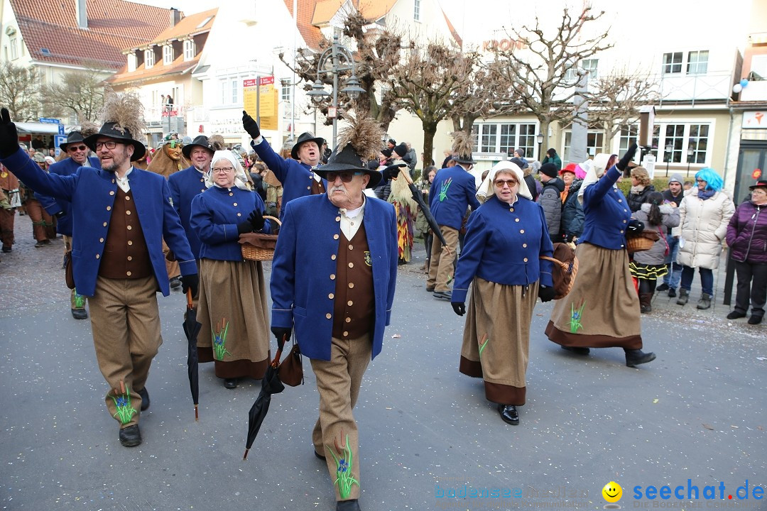 Grosser Narrensprung: Langenargen am Bodensee, 19.01.2020