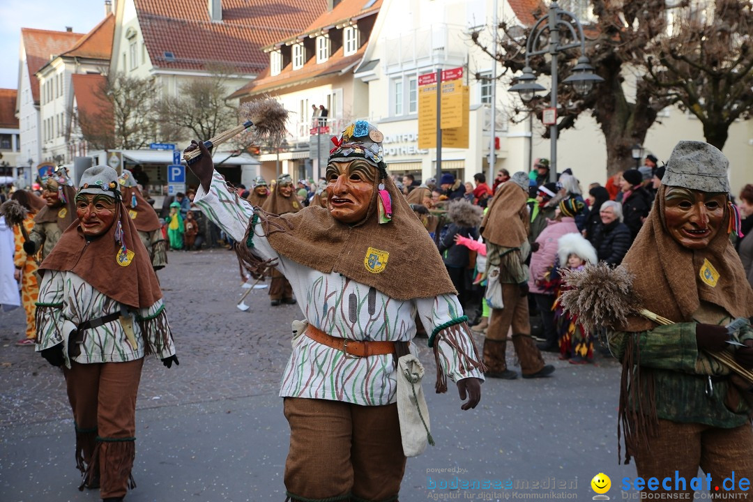 Grosser Narrensprung: Langenargen am Bodensee, 19.01.2020