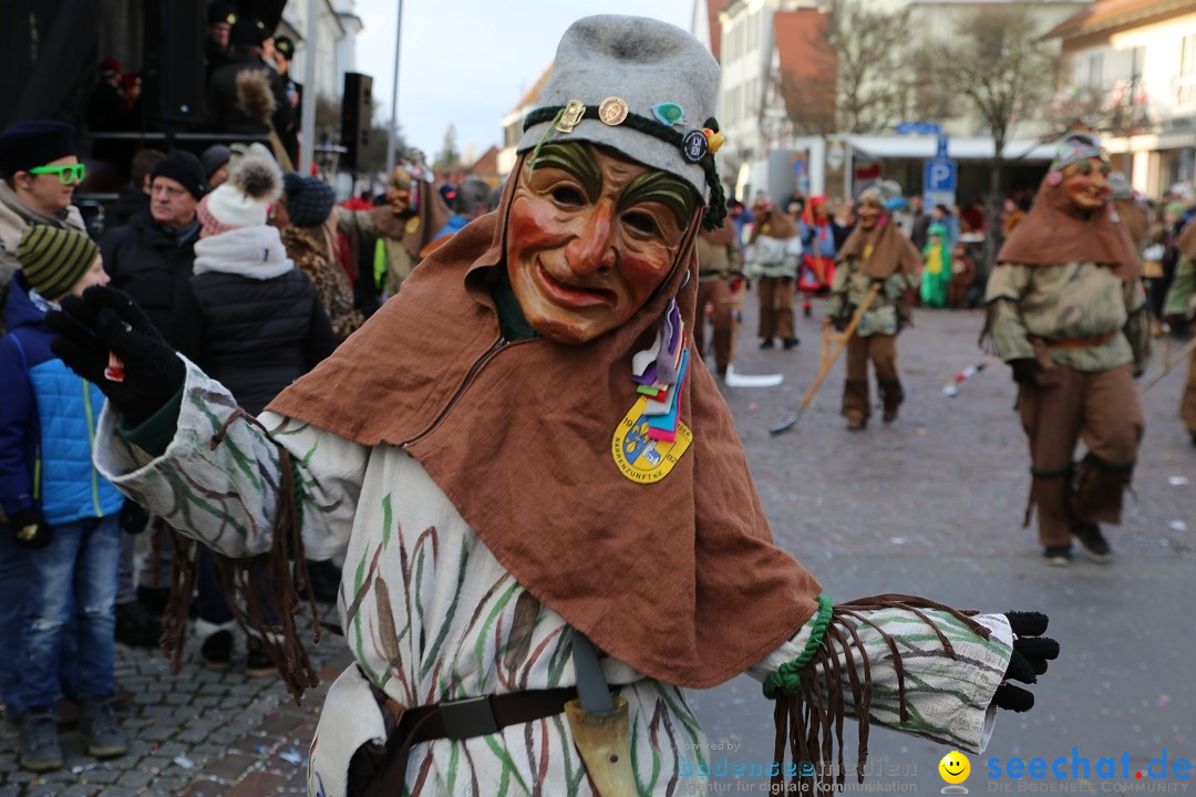 Grosser Narrensprung: Langenargen am Bodensee, 19.01.2020