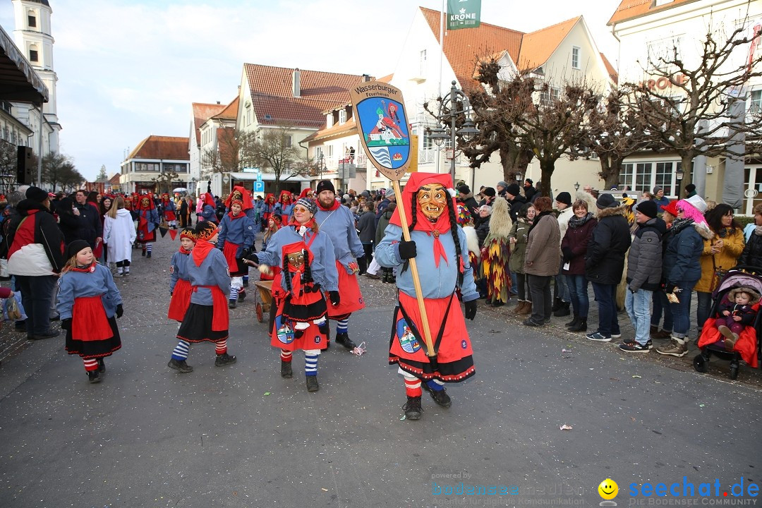 Grosser Narrensprung: Langenargen am Bodensee, 19.01.2020