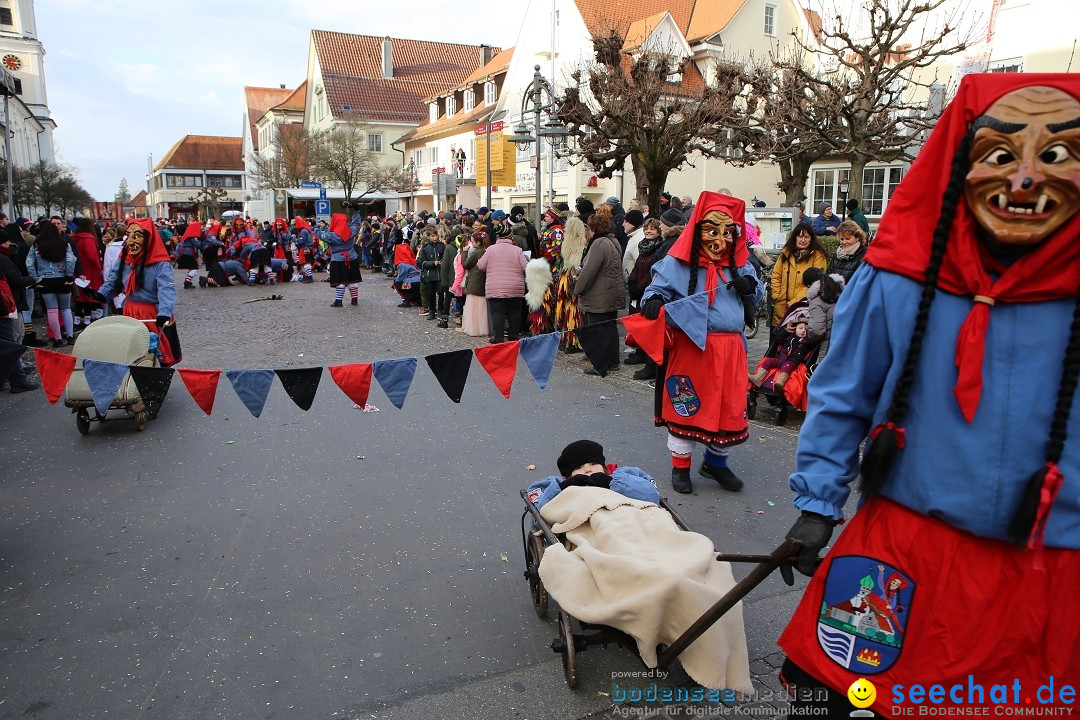 Grosser Narrensprung: Langenargen am Bodensee, 19.01.2020