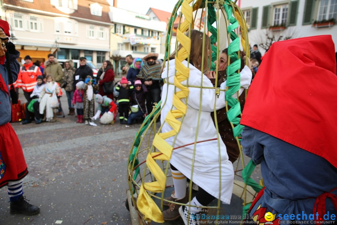 Grosser Narrensprung: Langenargen am Bodensee, 19.01.2020