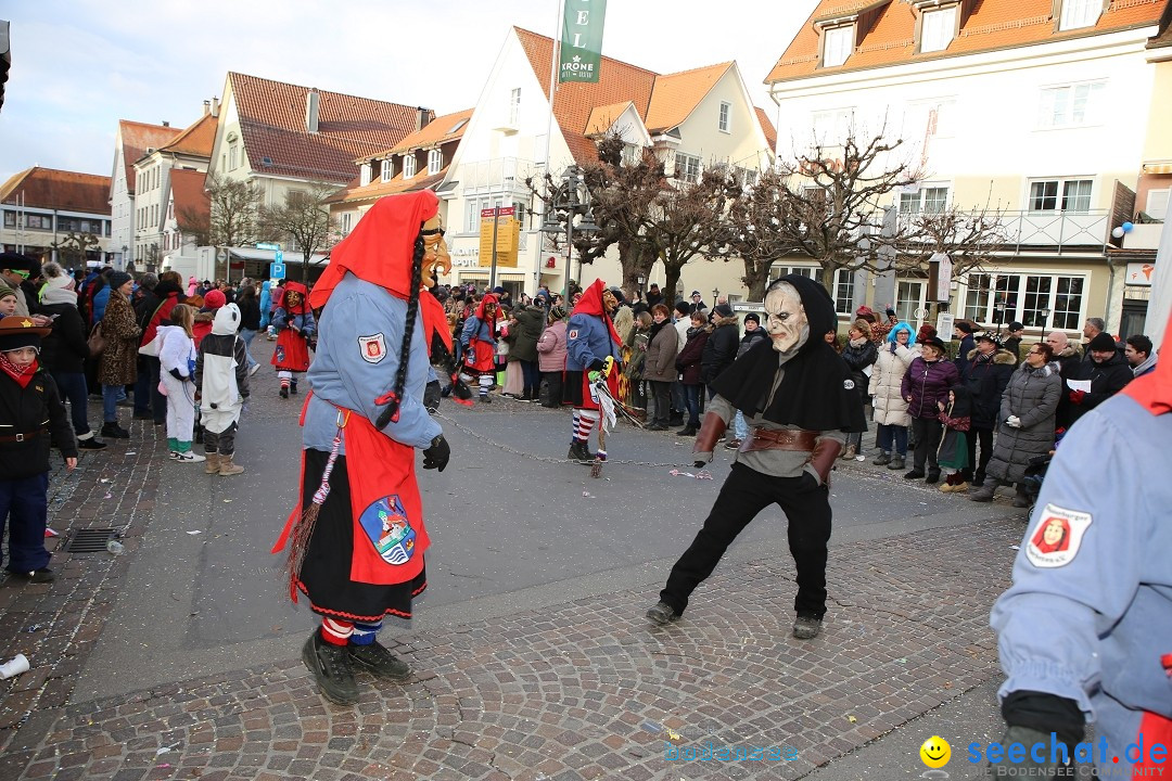 Grosser Narrensprung: Langenargen am Bodensee, 19.01.2020