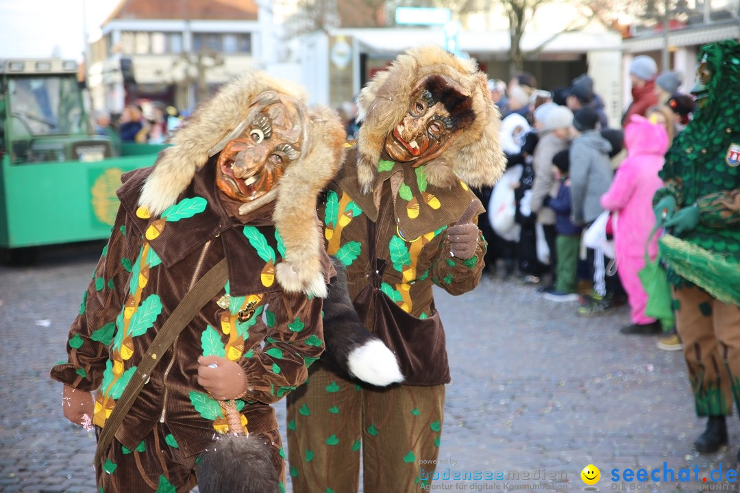 Grosser Narrensprung: Langenargen am Bodensee, 19.01.2020