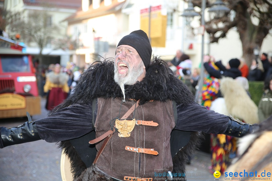 Grosser Narrensprung: Langenargen am Bodensee, 19.01.2020