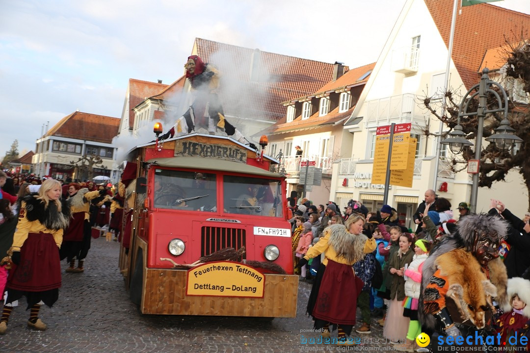 Grosser Narrensprung: Langenargen am Bodensee, 19.01.2020