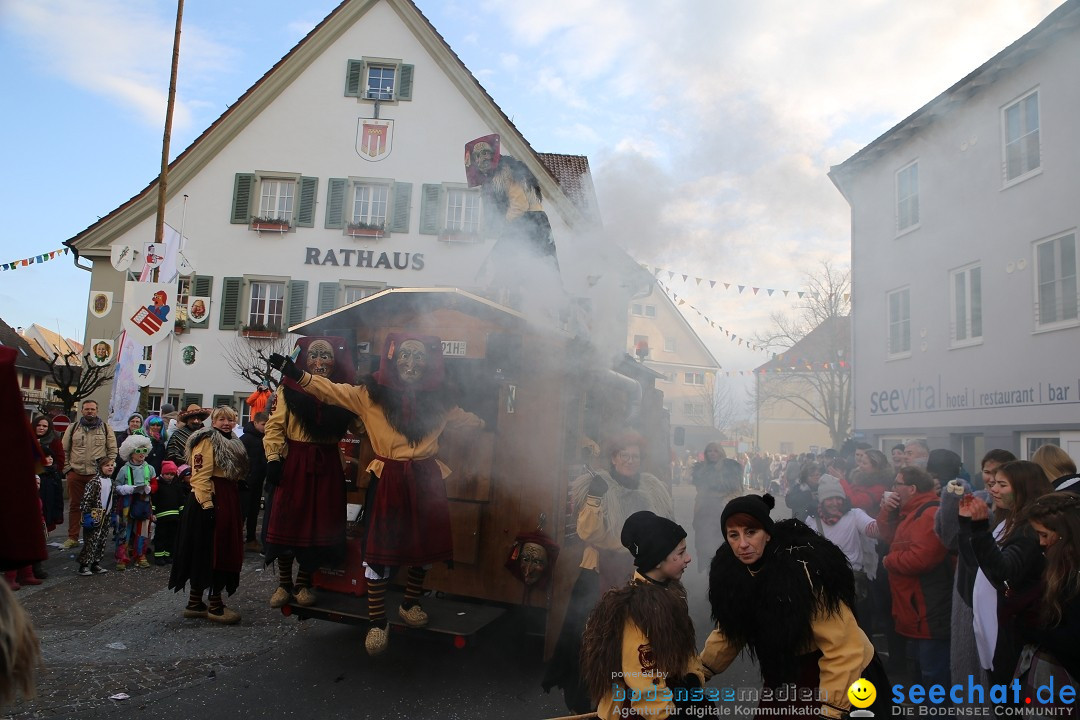 Grosser Narrensprung: Langenargen am Bodensee, 19.01.2020