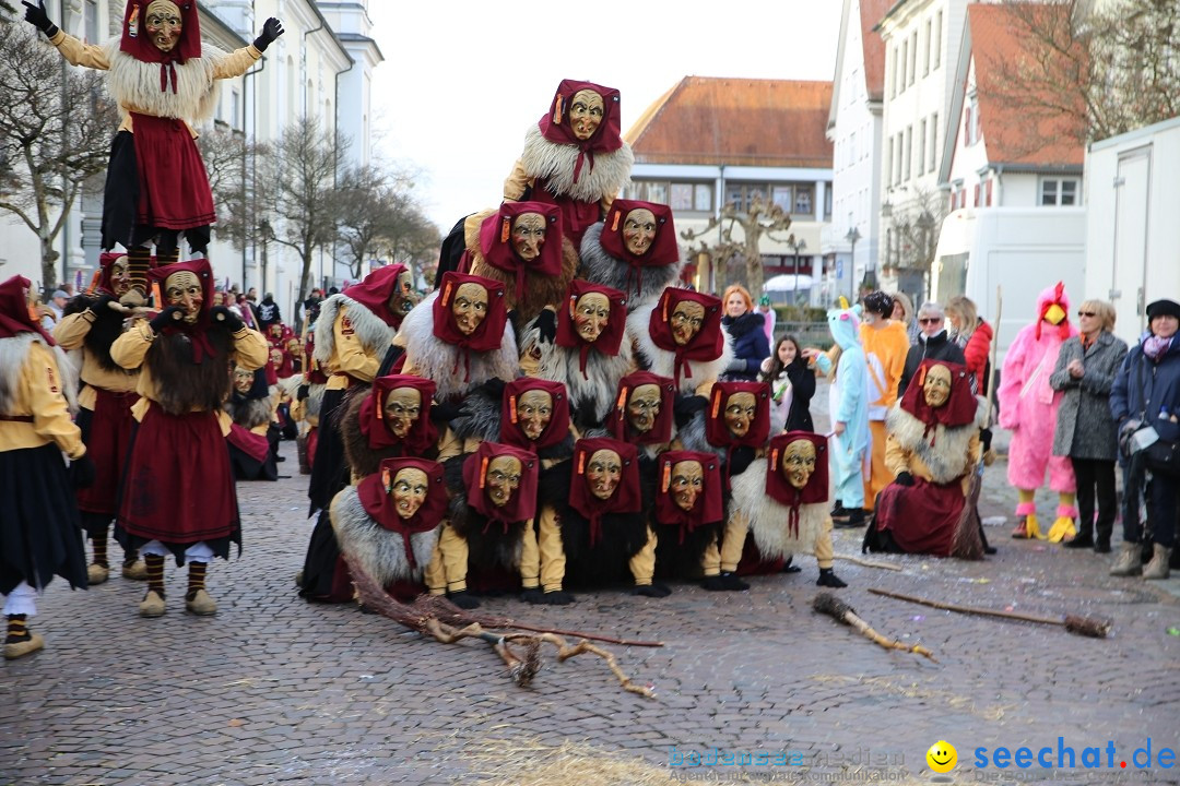 Grosser Narrensprung: Langenargen am Bodensee, 19.01.2020