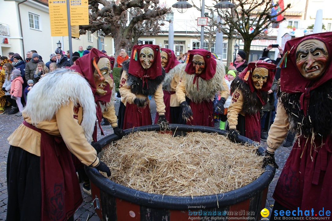 Grosser Narrensprung: Langenargen am Bodensee, 19.01.2020