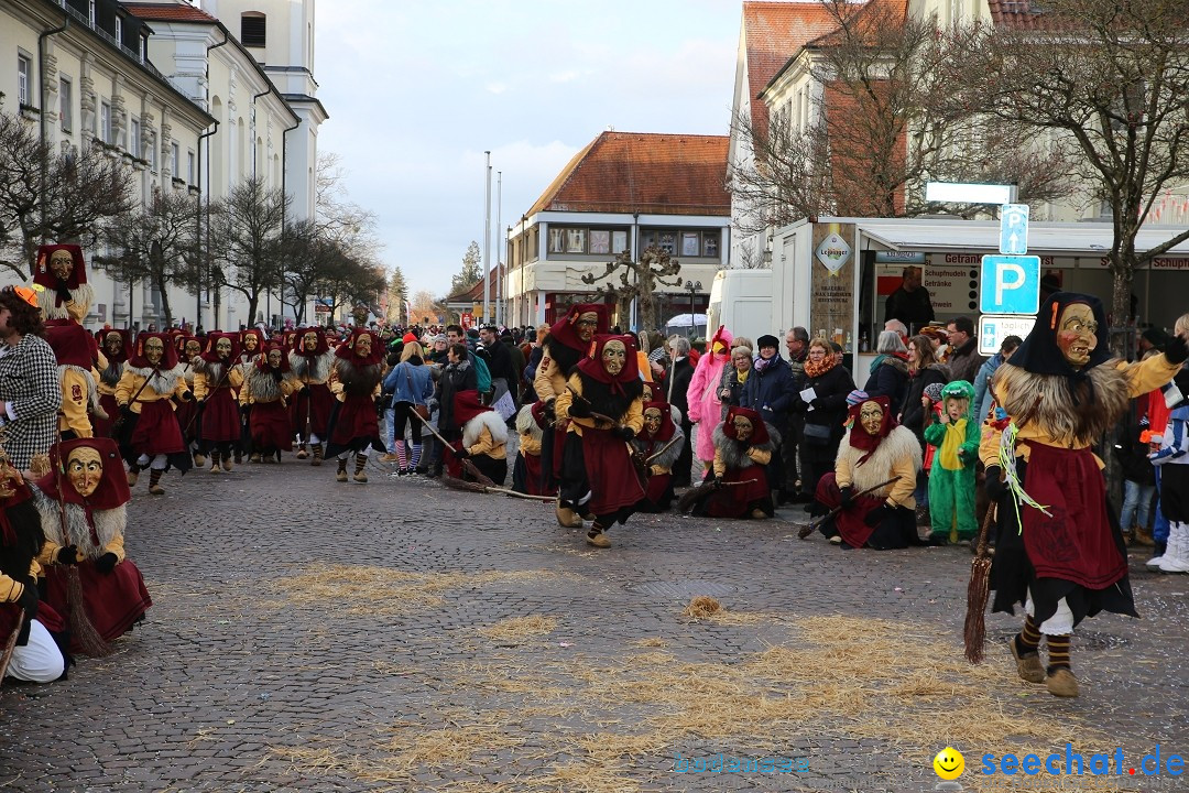 Grosser Narrensprung: Langenargen am Bodensee, 19.01.2020