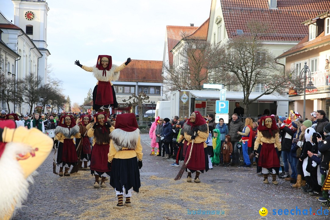 Grosser Narrensprung: Langenargen am Bodensee, 19.01.2020