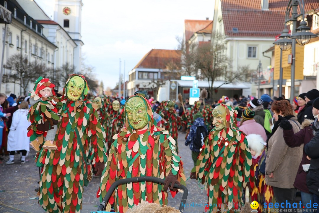 Grosser Narrensprung: Langenargen am Bodensee, 19.01.2020