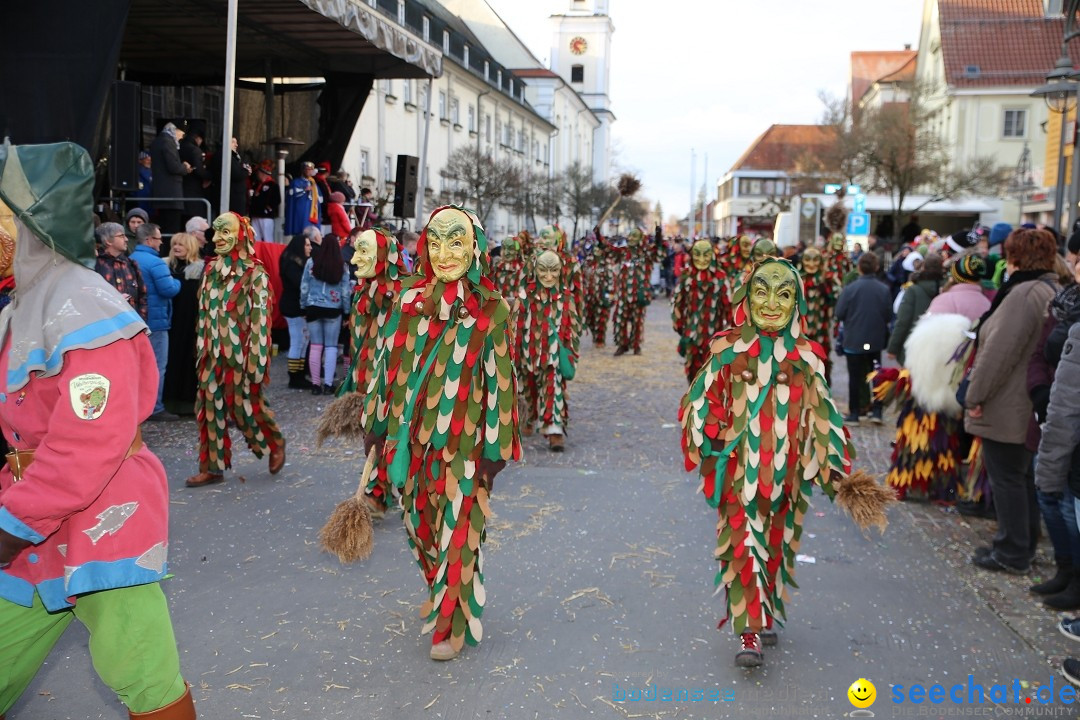 Grosser Narrensprung: Langenargen am Bodensee, 19.01.2020