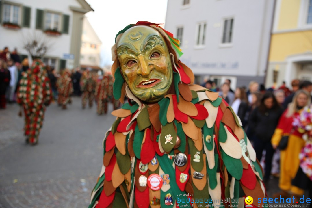 Grosser Narrensprung: Langenargen am Bodensee, 19.01.2020