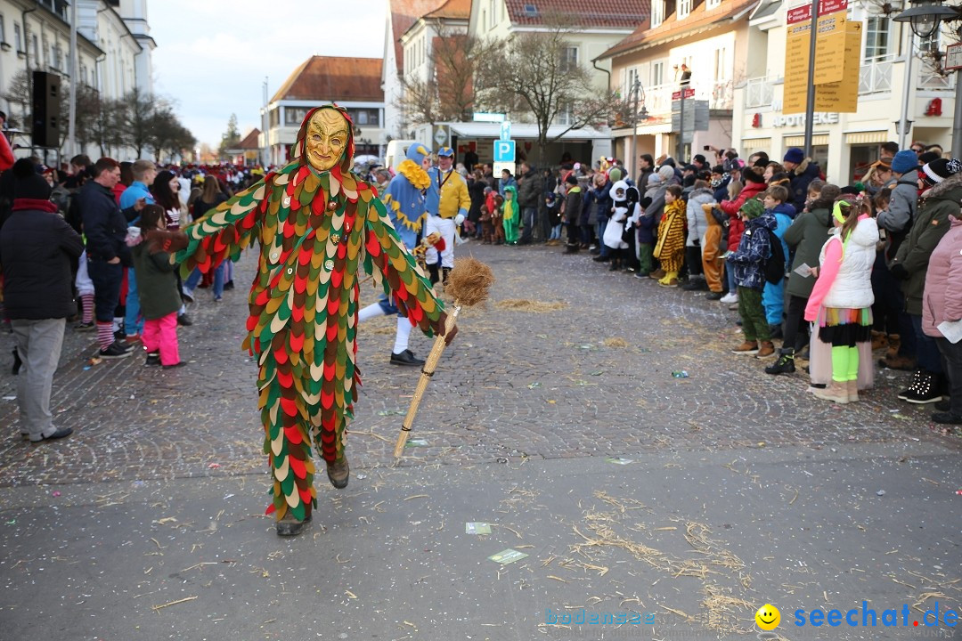 Grosser Narrensprung: Langenargen am Bodensee, 19.01.2020