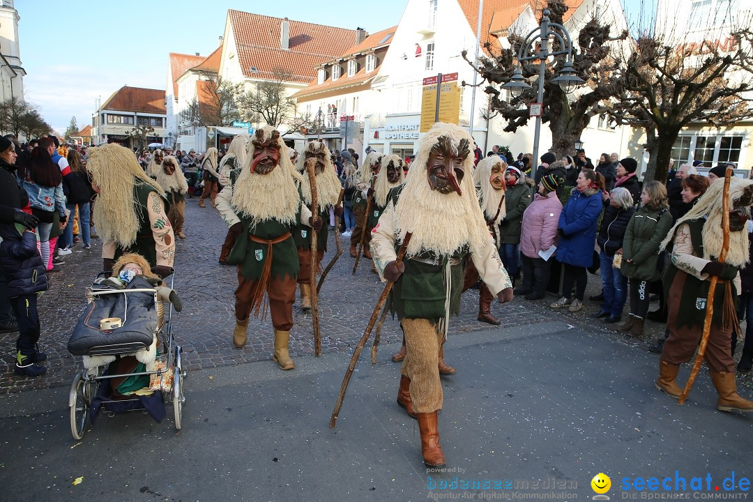 Grosser Narrensprung: Langenargen am Bodensee, 19.01.2020